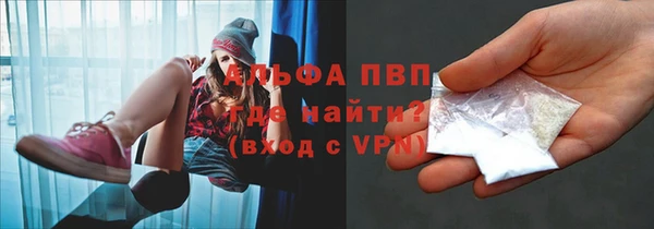 PSILOCYBIN Козельск